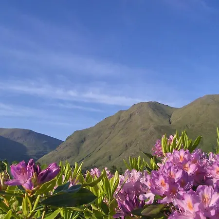 وسبا ديلفي ريزورت منتجع لينوان