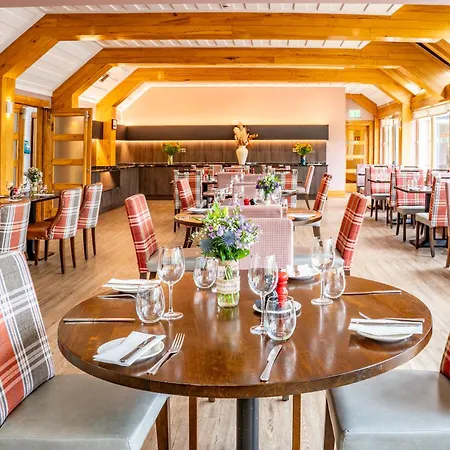 وسبا ديلفي ريزورت