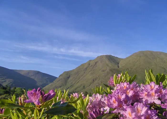 Delphi & Курортный комплекс Линон